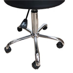 Deluxe Round Height Hydraulic Adjustable Rolling Stool, Great for Spa Facial Tattoo Technician Office or Home use (Black with backrest)