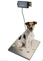 400 Pound Physician Digital Scale with large display Body Weight Doctor Weighing Balance for Office, Home, Gym, Clinic, Pet Hospital