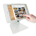 Desktop Anti-Theft POS Stand Holder Enclosure with Lock Compatible with iPad 10.2" (Silver Desktop)