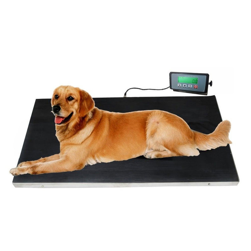 Heavy Duty 660 lb Capacity Veterinary Dog Pet Scale – Angel Canada